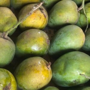 Fresh Mango