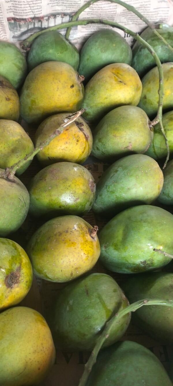 Fresh Mango